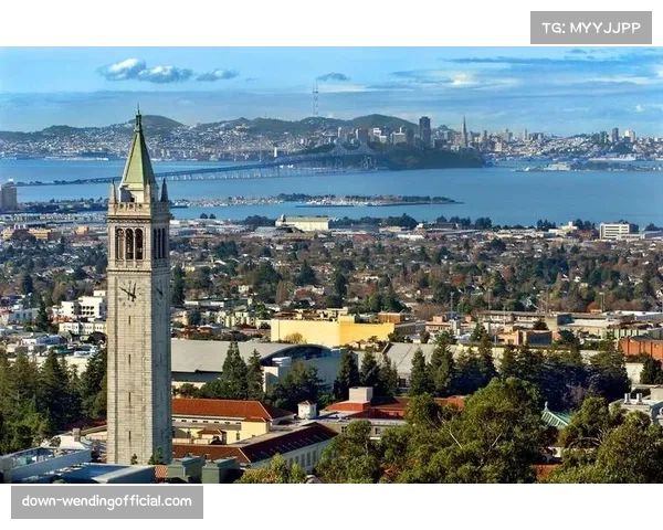 加利福尼亚大学圣克鲁兹分校惨败旧金山大学 三级联盟差距明显