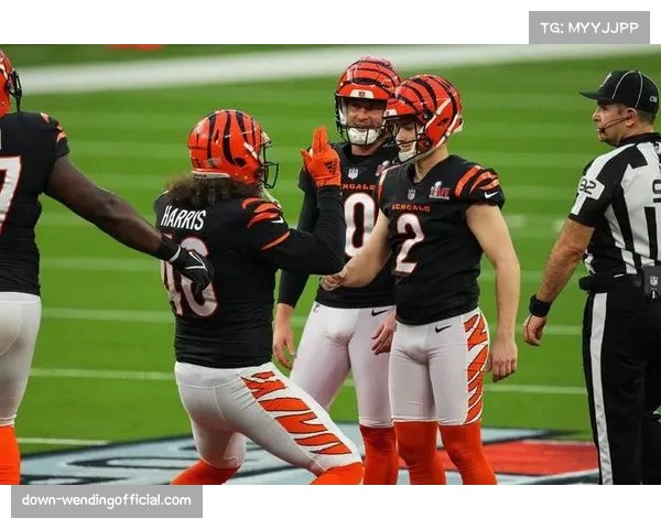 公羊进攻组自第十周以来场均34分冠绝联盟 斯塔福德跻身历史级四分卫行列